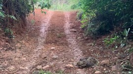 karnataka forest land