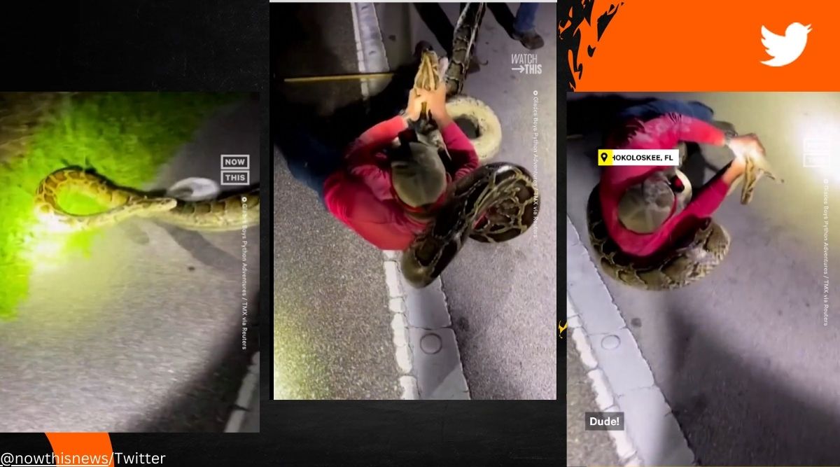 Longest-ever python caught by group of hunters in Florida