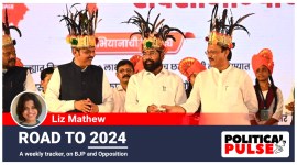 Maharashtra BJP 2024 plans