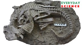 Mammals Eating Dinosaurs