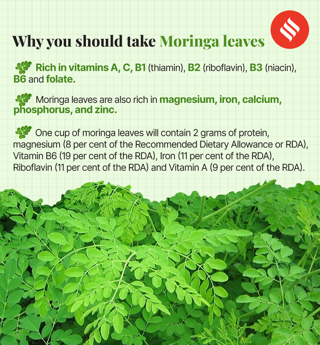 Is moringa the nutrition powerhouse to control blood sugar? What’s the
