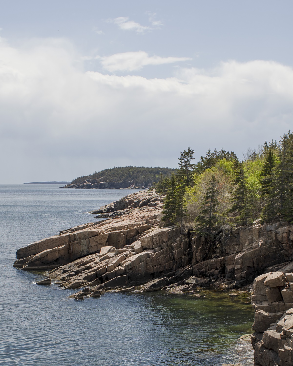 Acadia National Park in Maine, May 14, 2021. (John Tully/The New York Times)