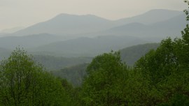 Great Smoky Mountains National Park near Gatlinburg, Tenn., April 20, 2006. (Christopher Berkey/The New York Times)