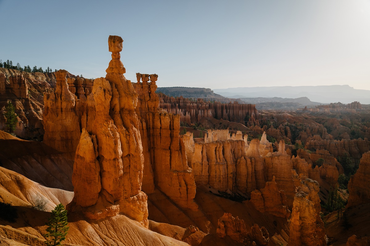 Hoodoos, eroded towers of rock that date back tens of millions of years, are seen from the Navajo Loop Trail in Bryce Canyon National Park in Utah, May 9, 2023. (Erin Schaff/The New York Times)