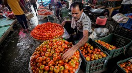 Tomato prices soar across India