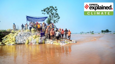 People use sand-filled sacks to mend a breach after rise in the water level of Sutlej river following monsoon rain, in Jalandhar.