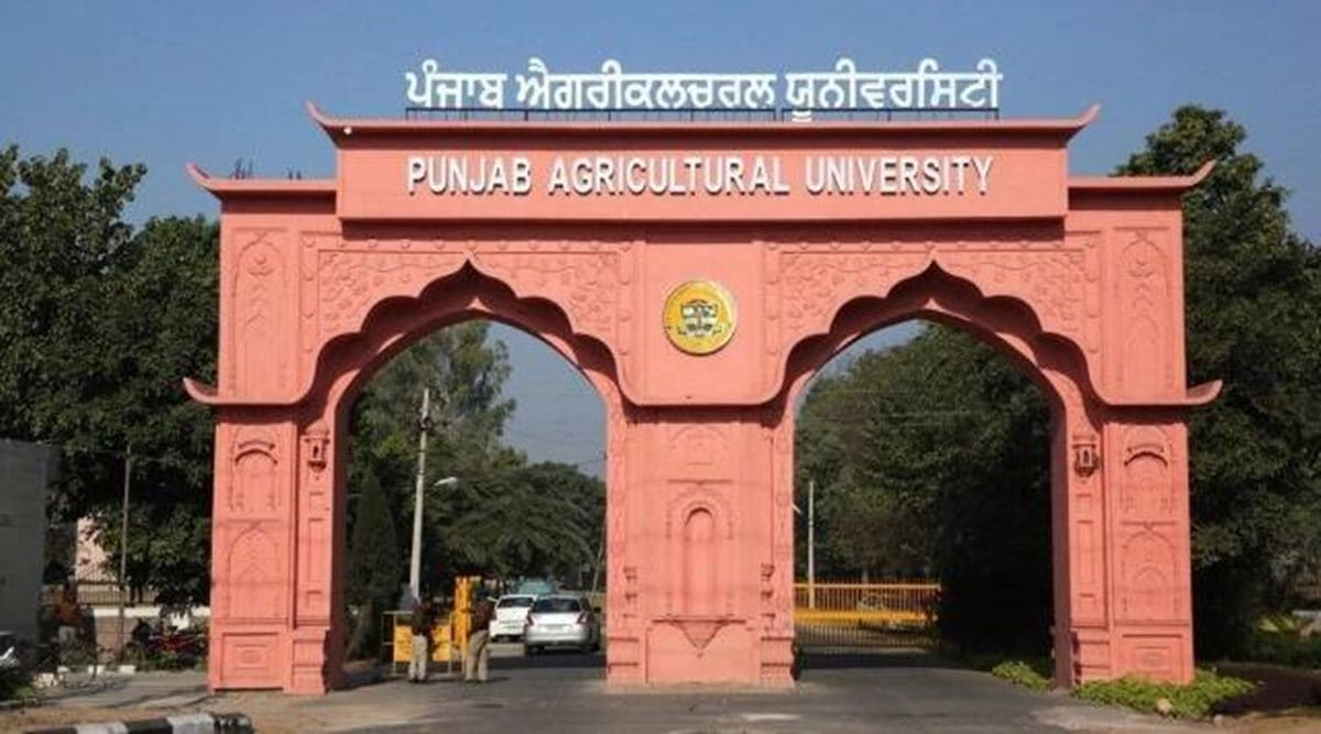 PAU museums to take centre stage at maiden global meet of agricultural  museums, V-C holds review meet | Chandigarh News - The Indian Express