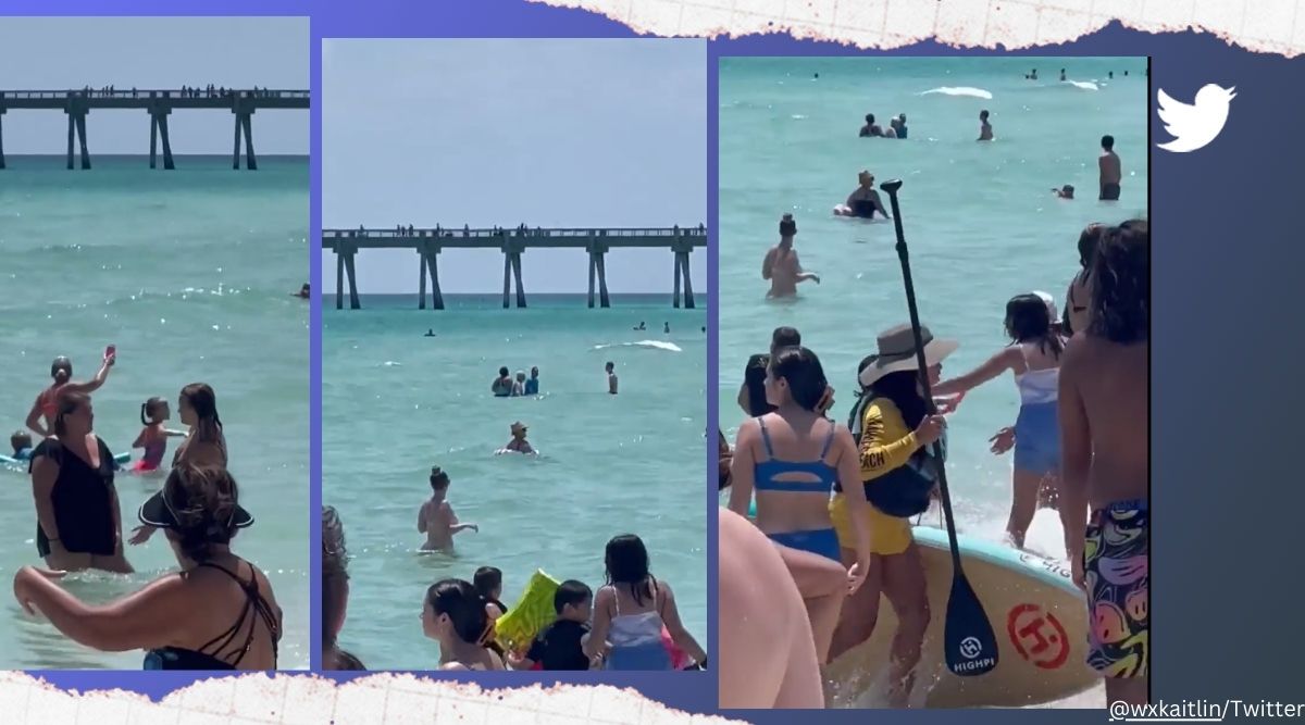 Shark Spotted Swimming Close To Shore Near Beachgoers In Us Watch Trending News The Indian