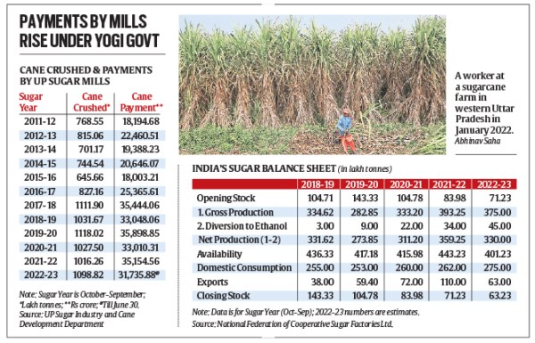 Sugarcane, sugarcane farmers, sugarcane farming, sugarcane prices, sugarcane cultivation, Express Explained, Explained, Indian Express Explained, Current Affairs