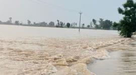 Sutlej flood waters