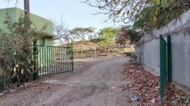 Lion safari project in Rajkot takes off