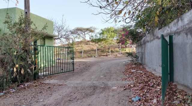 Lion safari project in Rajkot takes off