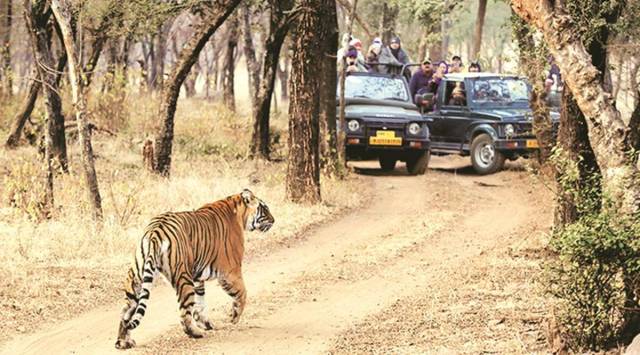 Tiger Reserve