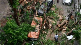 Brihanmumbai Municipal Corporation, Mumbai monsoon first week, civic body data, mumbai rain damage, island city, mumbai rain casualties, mumbai summer monsoon, Mumbai weather updates, indian express