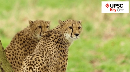 Uniform Civil Code, Elon Musk, Udit Mishra, Upsc Prelims results, UPSC key terms, upsc news, upsc syllabus, UPSC KEY, Upsc Key terms, IAS current affairs, upsc Key Indian express, The Indian Express current Affairs, Is Indian Express Good for UPSC, upsc today news, upsc newspaper, Indian express today important news for upsc, Indian express monthly current affairs, What should I read in Indian Express for UPSC today, UPSC Answer Key, UPSC Online, IAS, IPS, upsc current affairs news, UPSC KEY News, UPSC Civil services news, UPSC Prelims 2023, UPSC Mains 2023, UPSC Mains 2023, UPSC Mains 2024, UPSC Prelims 2024, UPSC General Studies 1, UPSC General Studies II, UPSC General Studies III, UPSC General Studies IV, upsc, upsc mains 2023, UPSC mains answer writing, upsc GS paper 1, upsc mains GS paper 1, upsc geography, upsc history, gs paper 1, upsc, upsc mains 2023, UPSC mains answer writing, upsc gs paper 4, upsc mains gs paper 4, upsc ethics, gs paper 4, sarkari naukri, government jobs, Current events of national and international importance, History of India and Indian National Movement, Indian Heritage and Culture, History and Geography of the World and Society, Governance, Constitution, Polity, Social Justice and International relations, Technology, Economic Development, Bio diversity, Environment, Security and Disaster Management Ethics, Integrity and Aptitude, Priya Kumari Shukla, Indian Express UPSC Key, Upsc Indian Express, Rahul Gandhi, Rahul Gandhi Manipur Visit, Congress, BJP, Narendra Modi, PM, Amit Shah, Home Minister, Arvind Kejriwal, AAP, Ordinance, Delhi, Capital, NCR, basic structure of the Constitution, Constitution, Supreme Court, PM Modi’s Address to US Congress, PM MODI key takeaways, areas of cooperation between India and USA, India and US, Manipur Violence, ethnic violence, Collective fears, Amit Shah Meeting, Kuki, Meitai, Biren Singh, Wagner group, Russia Coup, Military Coup, Putin, Vladimir Putin, Yevgeny Prigozhin, Lukashenko, Tax Collected at Source, RBI, TCS, Liberalised Remittance Scheme, Remittances, India, Indian, Defence Minister Rajnath Singh, POK, Pakistan occupied Kashmir, Pakistan, Kashmir, Jammu and Kashmir, Line of Control, Line of Actual Control, McMahon Line, India-Pakistan, Manipur, Violence, Prime Minister Meeting, IMF and World Bank Group, Google, National Research Foundation, Union Cabinet, Modi Government, HRD, National Education Policy 2020, Governor R. N. Ravi, Tamil Nadu, Minister V Senthil Balaji, MK Stalin-led DMK government, the Raj Bhavan, Articles 153 to 167, aviation turbine fuel, export, gravitational waves, Laser Interferometer Gravitational-wave Observatory, LIGO, General Theory of Relativity, Uniform Civil Code and Article 44, Deputy Chief Minister, Rebelled MLAS, Nationalist Congress Party, Shiv Sena, 52nd Amendment Act of 1985, the 10th Schedule of the Constitution, office of Deputy Chief Minister, Sharad Pawar, NCP, Election Commission, arguments for Uniform Civil Code, arguments against Uniform Civil Code, 22nd Law Commission of India , 21st Law Commission of India, Article 370 of the Indian Constitution, Jammu and Kashmir, Supreme Court Bench, CJI, Smriti Irani, National Research Foundation, India opposes BRI, China-Pakistan Economic Corridor (CPEC), Russia, trade India-Russia, India’s bilateral trade with Russia, crude oil, swing states, Evolution of BRICS, geopolitics of BRICS, Permanent members and Non-permanent members, United Nations Security Council reforms, aim of National Research Foundation, loopholes in National Research Foundation, Data Protection, data protection Bill, Supreme Court on Right to Privacy, Digital India Bill, Digital Personal Data Protection Bill, 2022, Nort India Rain, Himachal Rain, Uttarakhand Rain, Uttarakhand disaster of 2013, India Meteorological Department, New Delhi Rain, age of consent in India, the draft Digital Data Protection Bill, 2022, Data Protection, The issues, debate around Data Protection Bill, Macron and Modi, Cheetah in India, India and France, cluster munitions, Russia, China, The 2008 Convention on Cluster Munitions, US, Ukraine, India and The 2008 Convention on Cluster Munitions, China and Russia, Sea of Japan, Northern/Interaction-2023, radio collar, cheetahs, Kuno, Madhya Pradesh, South African cheetah expert Adrian Tordiffe, translocation of the cheetahs from Namibia and South Africa, India-UK Free Trade Agreement (FTA), Rules of origin, contentious issues in India-UK Free Trade Agreement (FTA), most Favoured nation (MFN), India-UK Trade Relations, Mahatma Gandhi National Rural Employment Guarantee Scheme (MG-NREGS), flood management, flood control,