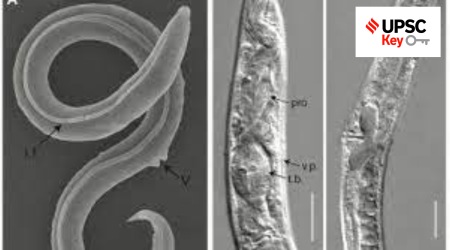 Uniform Civil Code, Elon Musk, Udit Mishra, Upsc Prelims results, UPSC key terms, upsc news, upsc syllabus, UPSC KEY, Upsc Key terms, IAS current affairs, upsc Key Indian express, The Indian Express current Affairs, Is Indian Express Good for UPSC, upsc today news, upsc newspaper, Indian express today important news for upsc, Indian express monthly current affairs, What should I read in Indian Express for UPSC today, UPSC Answer Key, UPSC Online, IAS, IPS, upsc current affairs news, UPSC KEY News, UPSC Civil services news, UPSC Prelims 2023, UPSC Mains 2023, UPSC Mains 2023, UPSC Mains 2024, UPSC Prelims 2024, UPSC General Studies 1, UPSC General Studies II, UPSC General Studies III, UPSC General Studies IV, upsc, upsc mains 2023, UPSC mains answer writing, upsc GS paper 1, upsc mains GS paper 1, upsc geography, upsc history, gs paper 1, upsc, upsc mains 2023, UPSC mains answer writing, upsc gs paper 4, upsc mains gs paper 4, upsc ethics, gs paper 4, sarkari naukri, government jobs, Current events of national and international importance, History of India and Indian National Movement, Indian Heritage and Culture, History and Geography of the World and Society, Governance, Constitution, Polity, Social Justice and International relations, Technology, Economic Development, Bio diversity, Environment, Security and Disaster Management Ethics, Integrity and Aptitude, Priya Kumari Shukla, Indian Express UPSC Key, Upsc Indian Express, Rahul Gandhi, Rahul Gandhi Manipur Visit, Congress, BJP, Narendra Modi, PM, Amit Shah, Home Minister, Arvind Kejriwal, AAP, Ordinance, Delhi, Capital, NCR, basic structure of the Constitution, Constitution, Supreme Court, PM Modi’s Address to US Congress, PM MODI key takeaways, areas of cooperation between India and USA, India and US, Manipur Violence, ethnic violence, Collective fears, Amit Shah Meeting, Kuki, Meitai, Biren Singh, Wagner group, Russia Coup, Military Coup, Putin, Vladimir Putin, Yevgeny Prigozhin, Lukashenko, Tax Collected at Source, RBI, TCS, Liberalised Remittance Scheme, Remittances, India, Indian, Defence Minister Rajnath Singh, POK, Pakistan occupied Kashmir, Pakistan, Kashmir, Jammu and Kashmir, Line of Control, Line of Actual Control, McMahon Line, India-Pakistan, Manipur, Violence, Prime Minister Meeting, IMF and World Bank Group, Google, National Research Foundation, Union Cabinet, Modi Government, HRD, National Education Policy 2020, Governor R. N. Ravi, Tamil Nadu, Minister V Senthil Balaji, MK Stalin-led DMK government, the Raj Bhavan, Articles 153 to 167, aviation turbine fuel, export, gravitational waves, Laser Interferometer Gravitational-wave Observatory, LIGO, General Theory of Relativity, Uniform Civil Code and Article 44, Deputy Chief Minister, Rebelled MLAS, Nationalist Congress Party, Shiv Sena, 52nd Amendment Act of 1985, the 10th Schedule of the Constitution, office of Deputy Chief Minister, Sharad Pawar, NCP, Election Commission, arguments for Uniform Civil Code, arguments against Uniform Civil Code, 22nd Law Commission of India , 21st Law Commission of India, Article 370 of the Indian Constitution, Jammu and Kashmir, Supreme Court Bench, CJI, Smriti Irani, Women used as weapons of war, Manipur naked video, paraded, social contract, President's rule in Manipur, Stapled Visas vs Stamped Visas, Stapled Visas, Stamped Visas, Arunachal Pradesh, Athletes, wushu, China issued staple visa, China and India, Line of Actual Control (LAC) and McMahon Line, illegal mining, Aravalli, no-confidence, Monsoon Session, Opposition, National Food Security Act 2013, Cinematograph Bill, 2023, Privacy, Forest Conservation Amendment Bill, 2023, Coal, PLI, Uniform Civil Code, Article 44, Qila Rai Pithora, Rana Safvi, Mahmud of Ghazni, Chahamanas, Prithvi Raj Chauhan, Qutub Minar, Prithviraj Raso, battle of Tarain, Museum, Yuge Yugeen Bharat National Museum, ISRO, Polar Satellite Launch Vehicle (PSLV), Geosynchronous Satellite Launch Vehicle, cryptobiosis, monsoon, Indian economy, India’s data collection