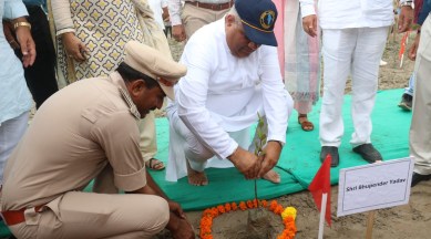 Mangroves important to tackle climate change: Yadav at Hariyali Mahotsav