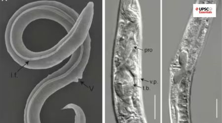 UPSC Essentials : Key terms of past week with MCQs