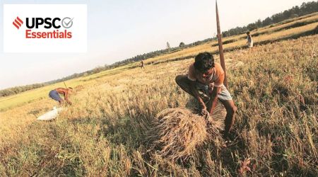 Mains answer practice — GS 3 (Week 8)