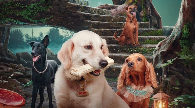 valatty, valatty movie review, valatty review, valatty malayalam movie review, valatty release date, Roshan Mathew, Soubin Shahir, Sunny Wayne, Saiju Kurup, Raveena Ravi, Aju Varghese, വാലാട്ടി, വാലാട്ടി സിനിമ, വാലാട്ടി റിവ്യൂ, വാലാട്ടി റിവ്യു