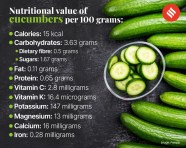 Cucumber