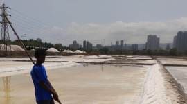 mumbai-salt