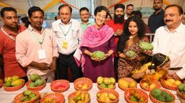 delhi mangoes