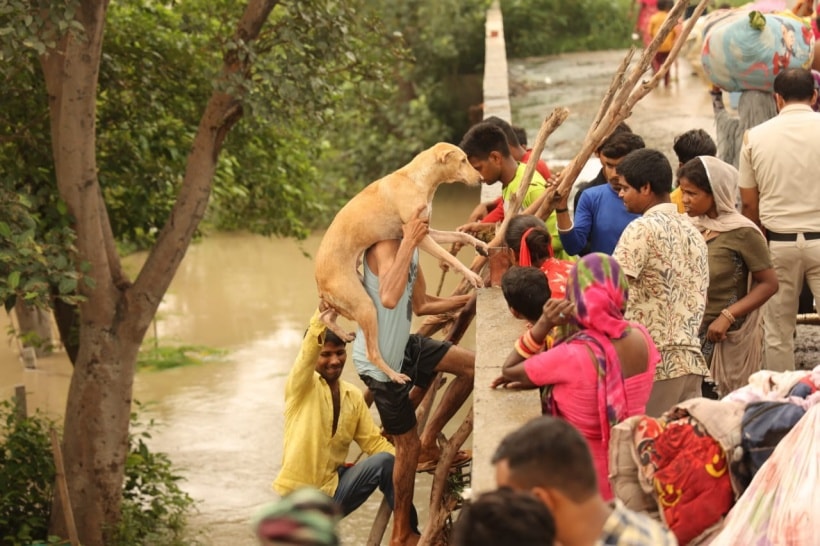 Yamuna flooding 4