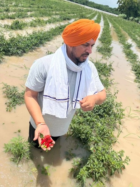 Punjab floods
