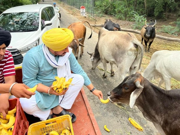 Gurdev Mann