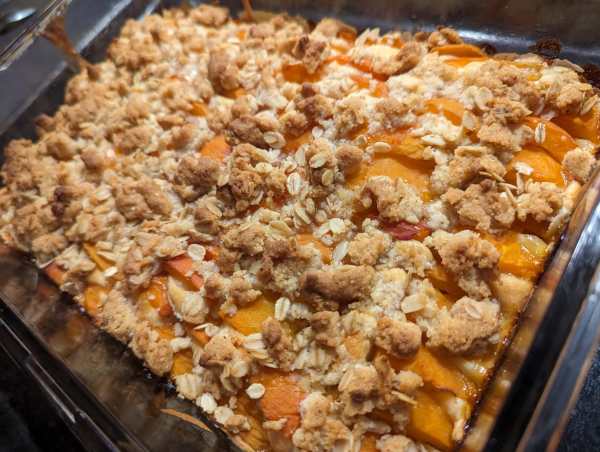Apricot cake baked by Rishabh