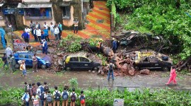Low-lying areas inundated as rain continues to batter city, 27 trees fall