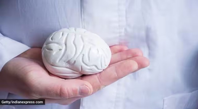 world brain day