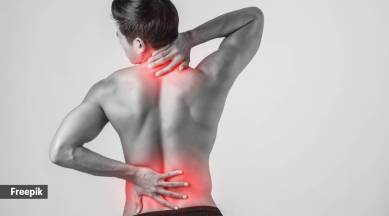 Chronic inflammation refers to a persistent, long-term inflammation response in the body.