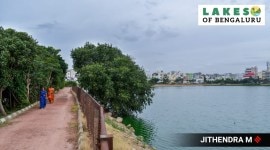 lakes of bengaluru cover