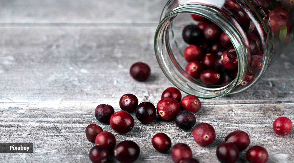 Cranberries are rich in antioxidants that can protect the body against free radicals, which may contribute to various chronic diseases, including heart disease and certain types of cancer.