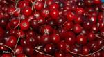 Cranberries are often regarded as a superfood owing to their abundant nutrients and antioxidants.