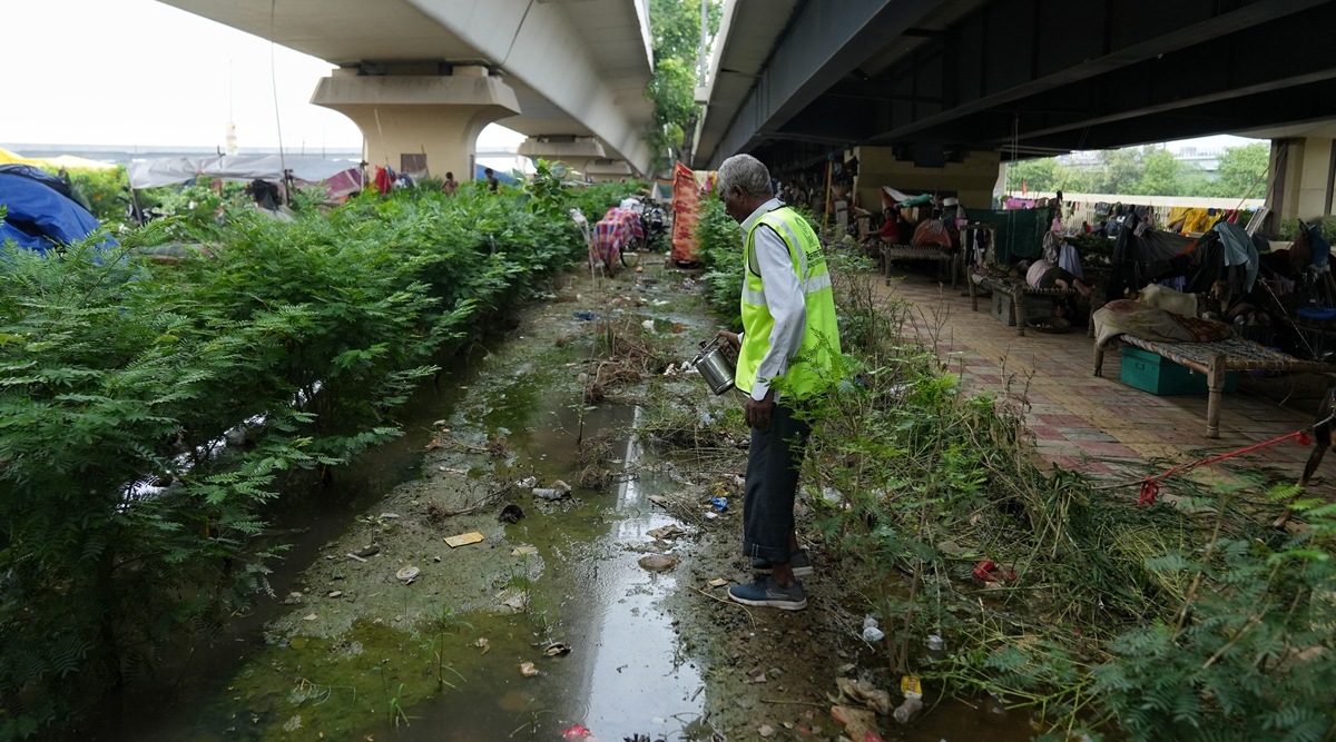 dengue news, delh dengue news, Delhi dengue, delhi dengue samples, Type 2 strain, dengue symptoms, Dengue Virus Type 2, what is Dengue Virus Type 2, haemorrhagic fever, indian express news