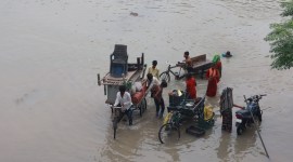 yamuna delhi