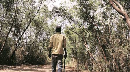 gujarat wildlife board, wildlife board, Dhanraj Nathawani, Reliance Industries Ltd, Gujarat State Board for Wildlife (GSBWL), Ahmedabad news, Gujarat, Indian Express, Current affairs