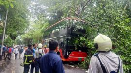 mumbai tree fall