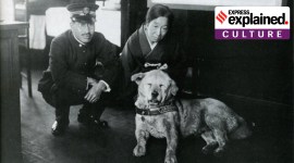 hachiko