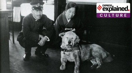 hachiko