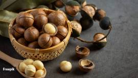 Hazelnuts are packed with various nutrients, including vitamin E, which is important for healthy skin and immune function.
