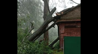 Himachal Pradesh floods: Kasol landslide