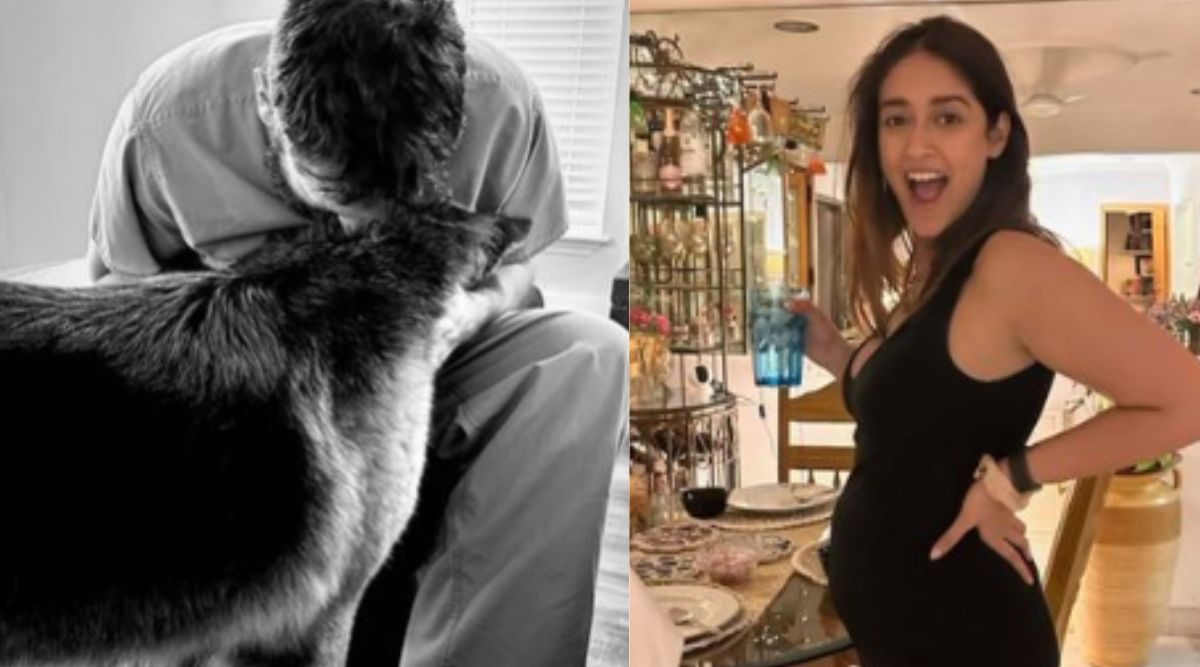 Ileana Massage Sex Videos - Ileana D'Cruz shares new picture of partner, flaunts baby bump and gives  glimpse of her 'pretty girl' | Bollywood News - The Indian Express