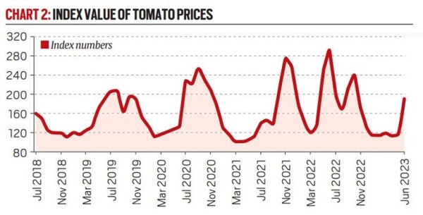 index value of tomato prices