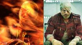 shah rukh khan, jawan