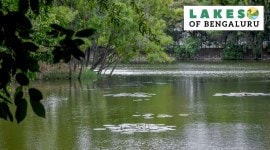 lakes of bengaluru