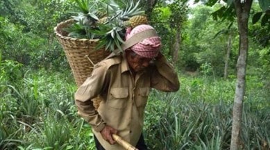 Manipur farmers security